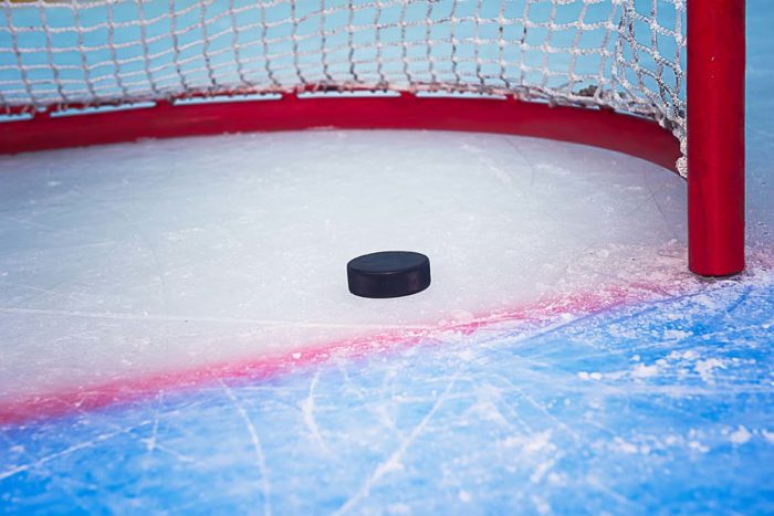 hockey goal